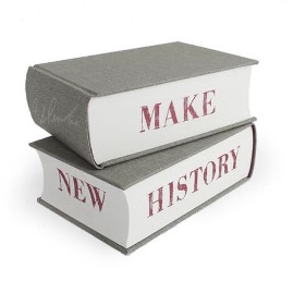 photo of two books stacked on top of each other. The text reads, make new history